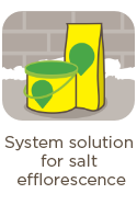 Icon von zwei Weber Produkten vor einer Wand mit Salzausblühungen und darunter der Text Systemlösung bei Salzausblühungen.