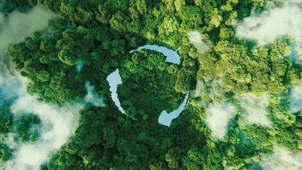 Aufnahme aus der Vogelperspektive von einem grünen Wald mit drei Fluss-Ähnlichen Pfeilen in der Mitte, die wie das Recycling-Symbol angeordnet sind