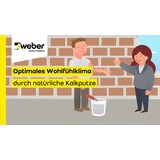 Erklärvideo Kalkputz Erklärvideo Kalkputz