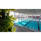 Referenzobjekt Oschersleben Bild eines Schwimmbeckens mit einem grünen Busch im Vordergrund