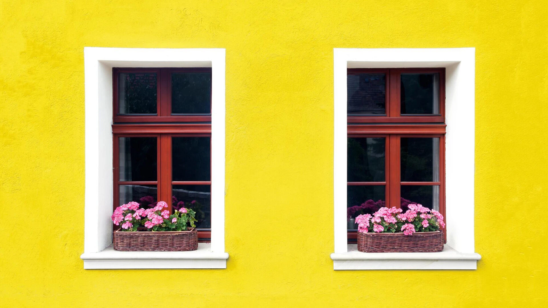 Nahaufnahme einer gelben Außenfassade mit zwei Fenstern, die eine weiße Umrandung und braune Holzsprossen haben. Auf den zwei Fensterbänken steht jeweils ein Korb mit pinken Blumen