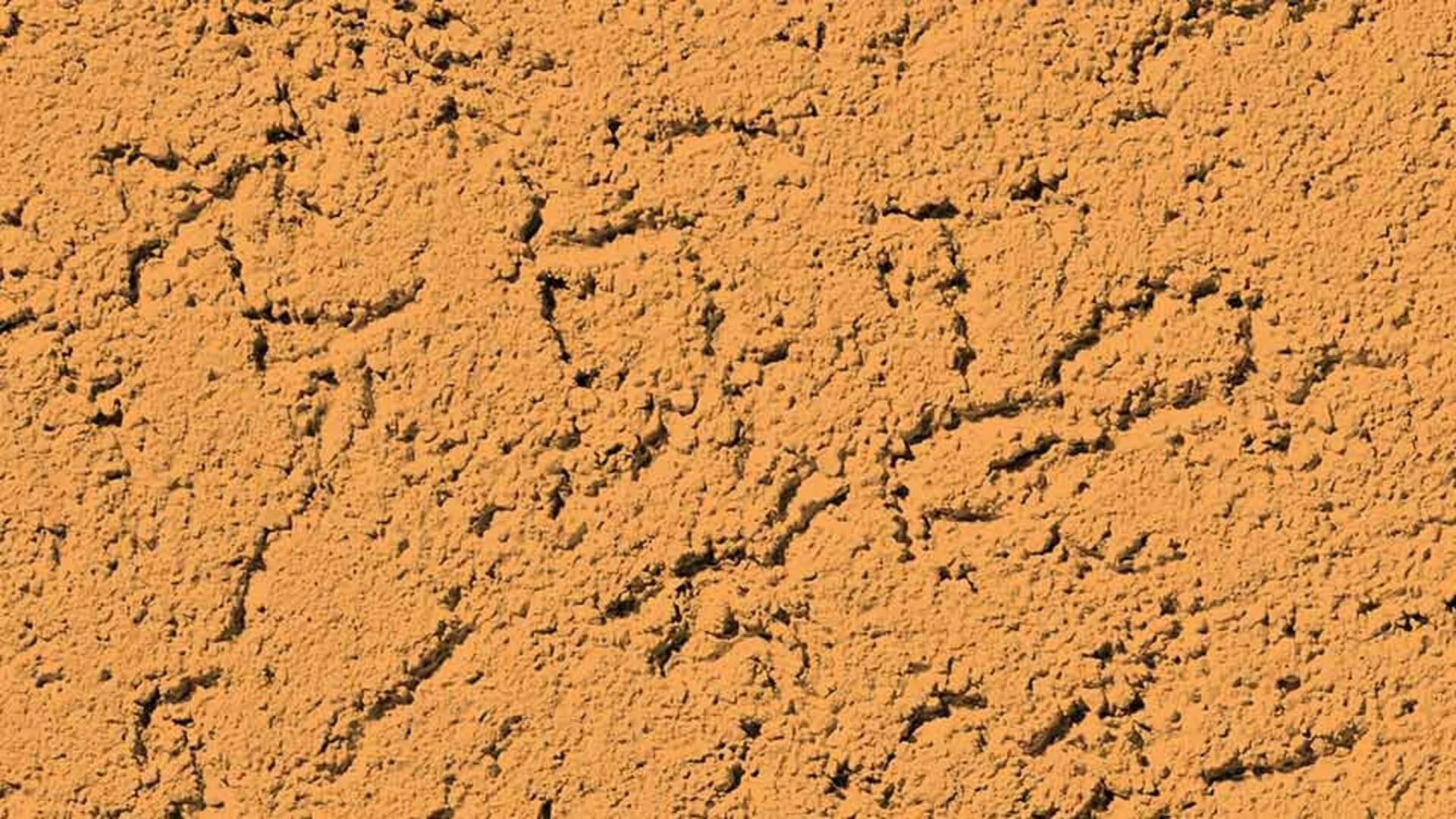 Wandfarbe orange