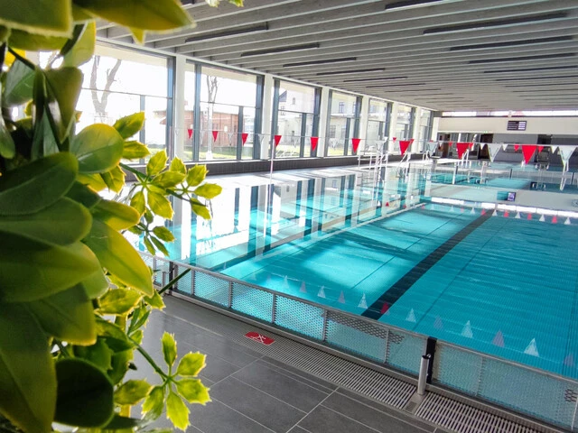 Bild eines Schwimmbeckens mit einem grünen Busch im Vordergrund