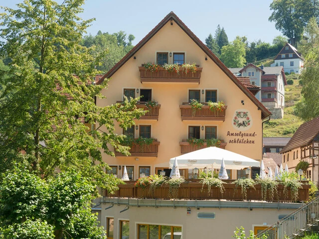 Hotel Amselgrundschlösschen im Grünen