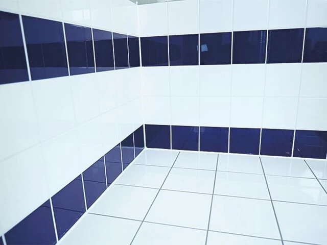Saint-Gobain Weber