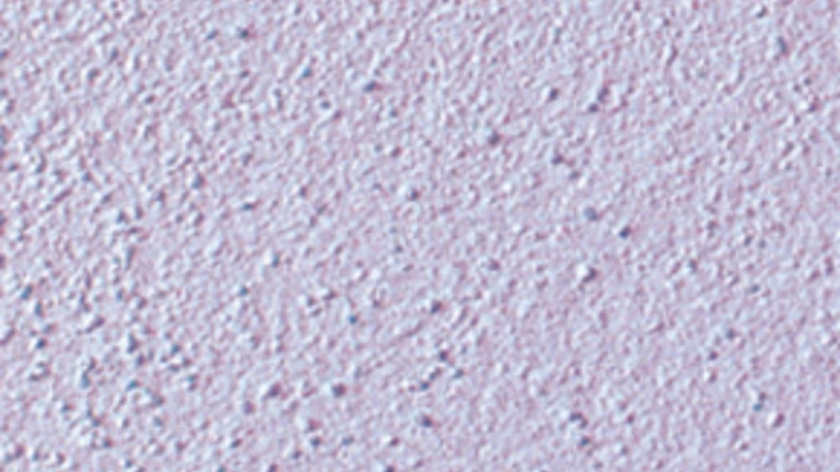 2900080