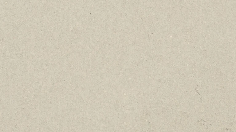 FT 20 graubeige