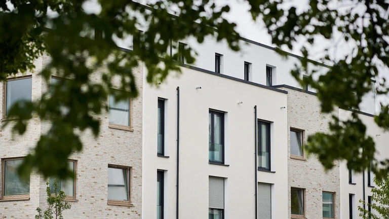 Aufnahme einer Fassade mit WDVS wo im Vordergrund unscharf Blätter eines Baumes zu sehen sind. Titelbild des Klimarechners